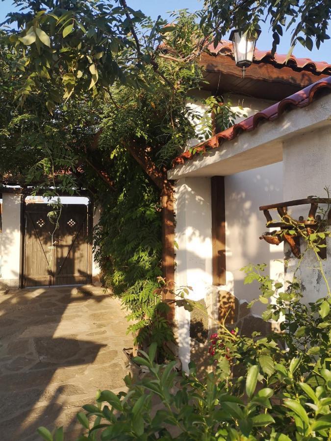 Namaste Къща В Село Камилски Дол Kamilski Dol Εξωτερικό φωτογραφία