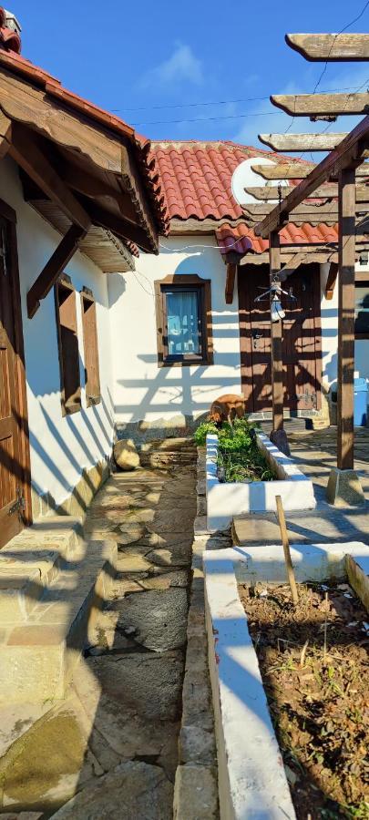 Namaste Къща В Село Камилски Дол Kamilski Dol Εξωτερικό φωτογραφία